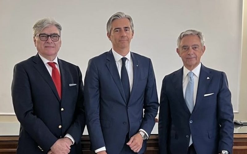 Foto-Consulta